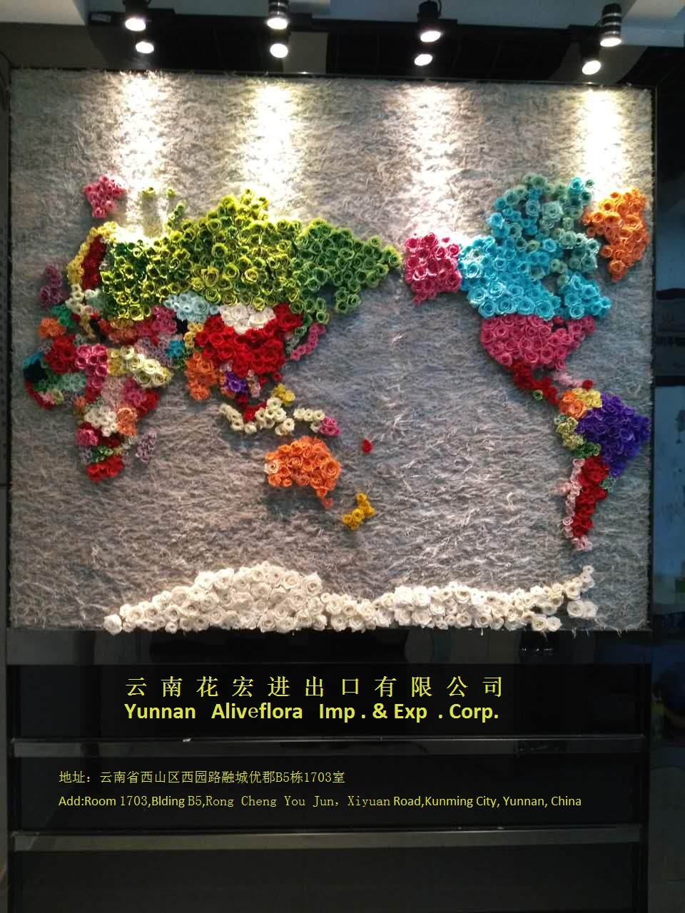 云南花宏进出口有限公司